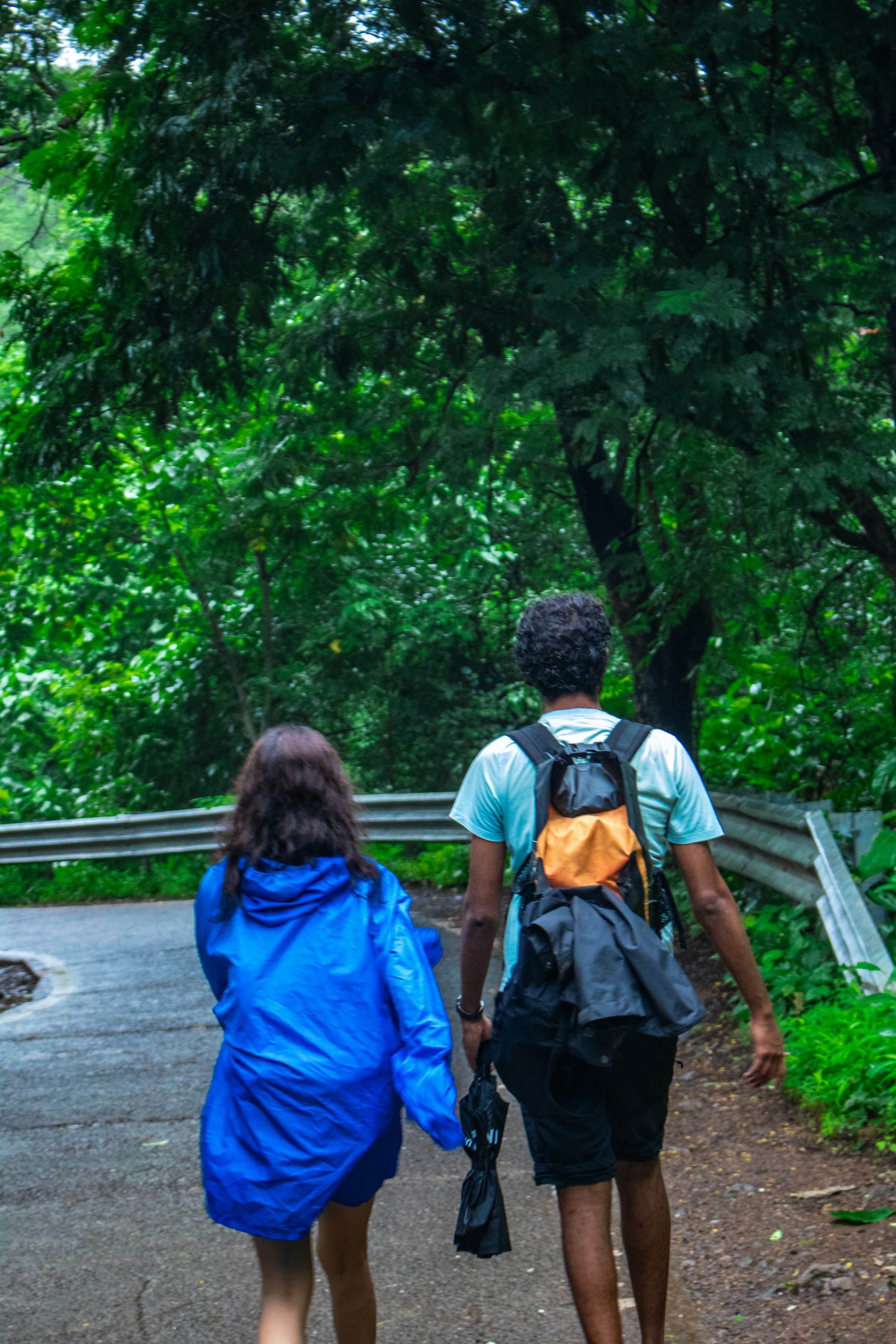 Two walkers side by side on a winding forest road under wet green trees